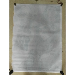 奥斯汀皮耶州立大学文凭毕业证怎么买到